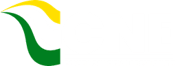 Logo CNE
