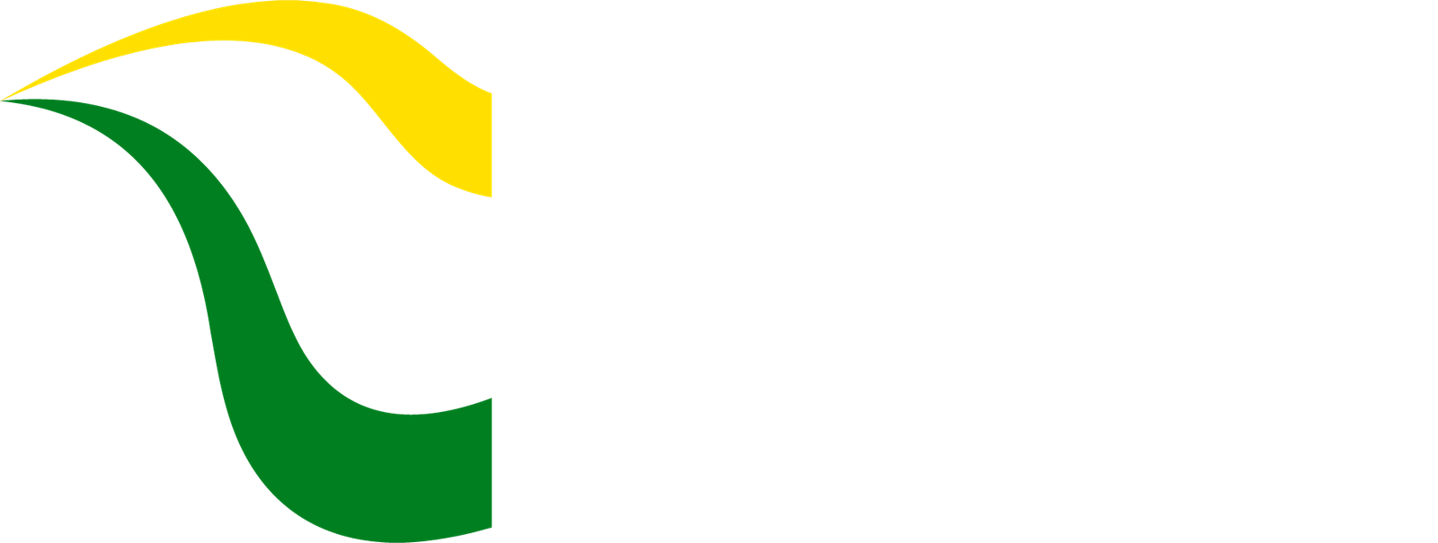 Logo CNE